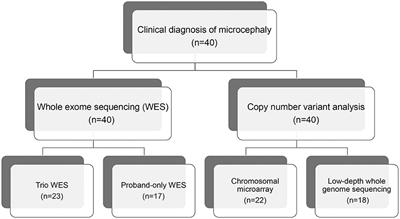 Genomic Analysis of Korean Patient With Microcephaly